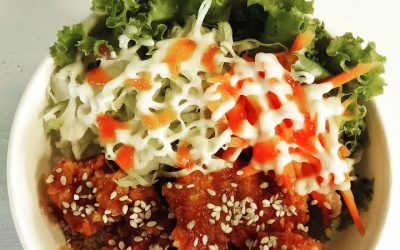 Rice Bowl Chicken teriyaki